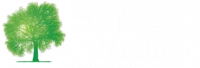 arbre2.png
