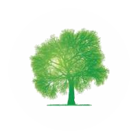arbre.png